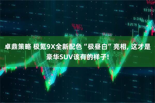 卓鼎策略 极氪9X全新配色“极昼白”亮相, 这才是豪华SUV该有的样子!