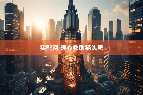 实配网 暖心救助猫头鹰